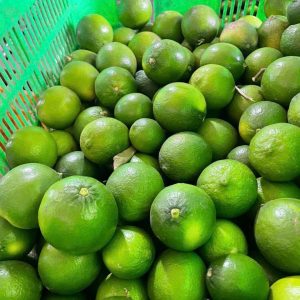 Green Lemon